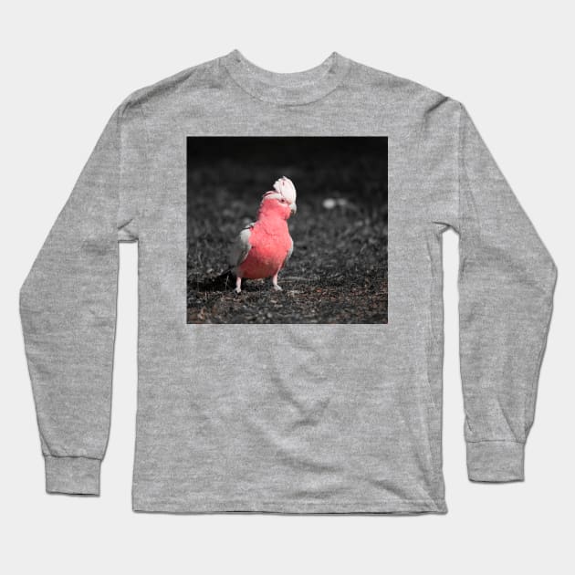 Galah_5139A Long Sleeve T-Shirt by seadogprints